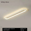 Long Strip LED Ceiling Lights Modern Simple Corridor Aisle Balcony Cloakroom Bedroom Porch Lamp Home Indoor Decor Lighting Lamps