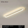 Long Strip LED Ceiling Lights Modern Simple Corridor Aisle Balcony Cloakroom Bedroom Porch Lamp Home Indoor Decor Lighting Lamps