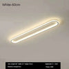 Long Strip LED Ceiling Lights Modern Simple Corridor Aisle Balcony Cloakroom Bedroom Porch Lamp Home Indoor Decor Lighting Lamps